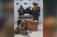 ¡Jefry lo hizo otra vez! Detecto 20 kilogramos de marihuana en equipaje de viajera en Cajamarca