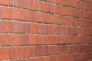 Pared
