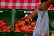 Ibagué Productora agrícola