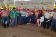 Cortolima + Verde 