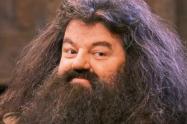 Hagrid - Harry Potter