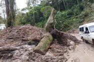 Lluvias Líbano-Tolima