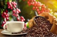 Café del Tolima