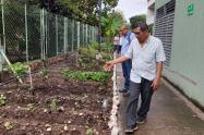 Noticias de Neiva: Huertas caseras; alternativas de vida para abuelos y jóvenes 