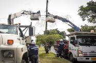Cuadrillas de Infibagué en instalación del alumbrado navideño