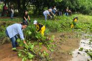 Impacto ambiental en los humedales