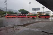 Paro transporte éxito Ibagué