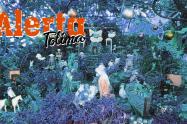 Pesebre 3