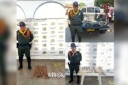 Caninos de la policía no solo detectan droga, ahora olfatean pólvora en Guamo y Saldaña