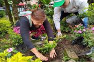 Actividad de siembra colectiva en Tolima Grande