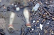 Hallan el cuerpo sin vida de un hombre en aguas del río Magdalena en Honda