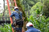 Cuadrillas de Infibagué retirndo alumbrado navideño