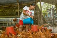Ambalema Agencia Desarrollo Rural
