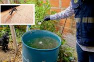 Dengue Huila