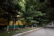 Calles de Venadillo