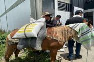 Alimento para animales Tolima