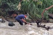 Hallan cuerpo sin vida de un hombre en el río Combeima, sector barrio Santofimio