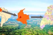 Departamento del Tolima