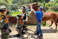 Grupo de carabineros y protección ambiental capacitó campesinos de Murillo en temas de protección animal