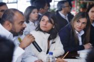 Ministra de Minas y Energia Irene Velez
