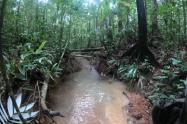 Zona de búsqueda de menores en Guaviare