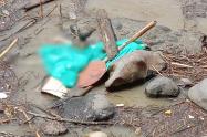 Pescadores de Honda hallaron el cuerpo sin vida de un joven en el río Magdalena
