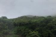 Bosque Seco Tropical en Natagaima