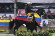 Caballo Ganador Payandé