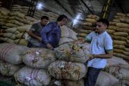 Cafeteros del Tolima