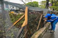 Malla de protección de Ibagué Limpia en la carrera Quinta