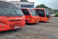 Busetas de transporte urbano 