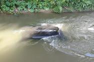 ¡Carro submarino! Robados y mojados en inmediaciones del Bosque en Ibagué