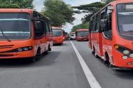 Plan tortuga en Ibagué