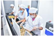 Preparan alimentos del PAE en Ibagué