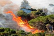 Alerta Roja Ideam por incendios forestales