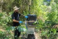  Liberación de 22 animalitos Cortolima