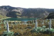 Parque Nacional Natural de Los Nevados