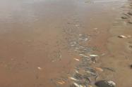 Pesca en el Magdalena
