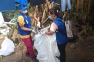 Brigadas contra el dengue