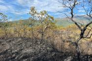 Cerca de 8000 hectáreas han sido consumidas por incendios en el Huila 