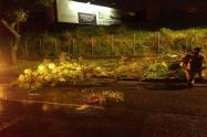 Caída de árboles tras lluvias en Ibagué