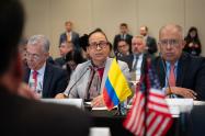 Viceministra de Asuntos Multilaterales, Elizabeth Taylor Jay