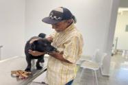 Hospital Veterinario