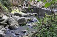 Quebrada Guacharacos