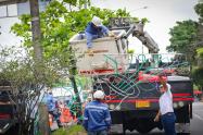 Instalación del alumbrado navideño