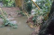 Emergencias lluvias Tolima