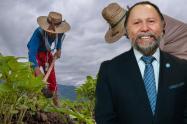 Tito Díaz - Columnista