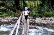 Puente de guadua en la vereda Cocora