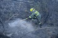 Incendio Parque Los Nevados