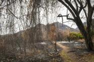 Extinguen incendio en Natagaima | Apagan incendio en Natagaima | Emergencia Natagaima | Septiembre 2024